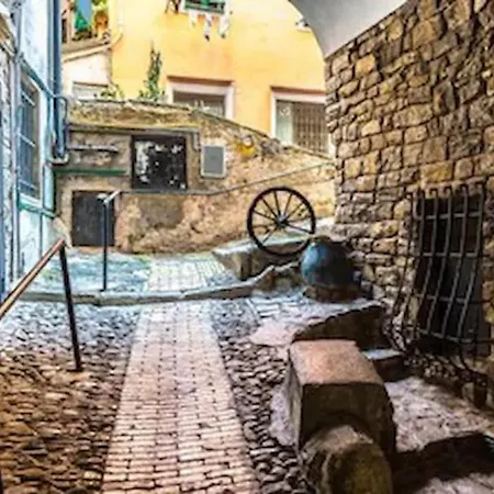 Narciso Centralissimo *