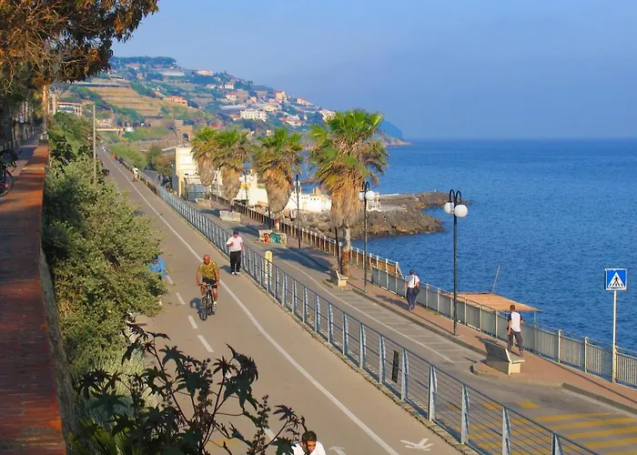 Narciso Centralissimo Daire