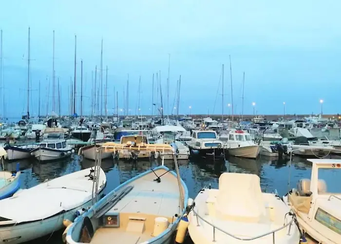 Daire Narciso Centralissimo *