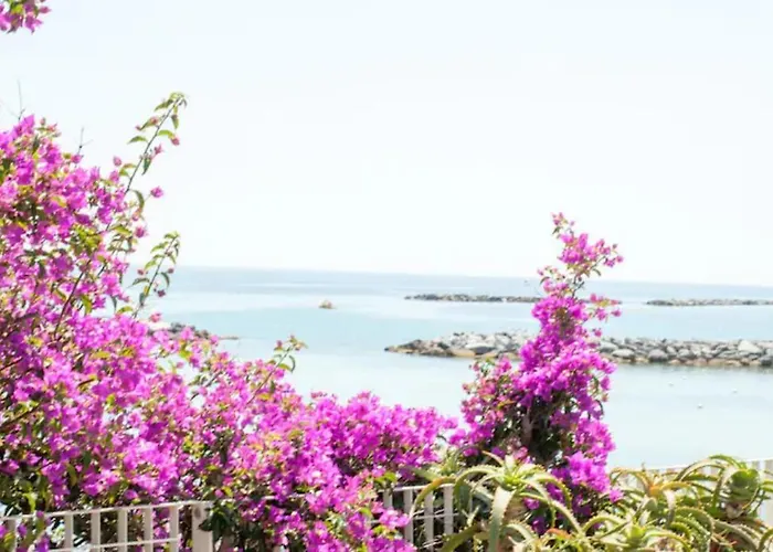 Narciso Centralissimo