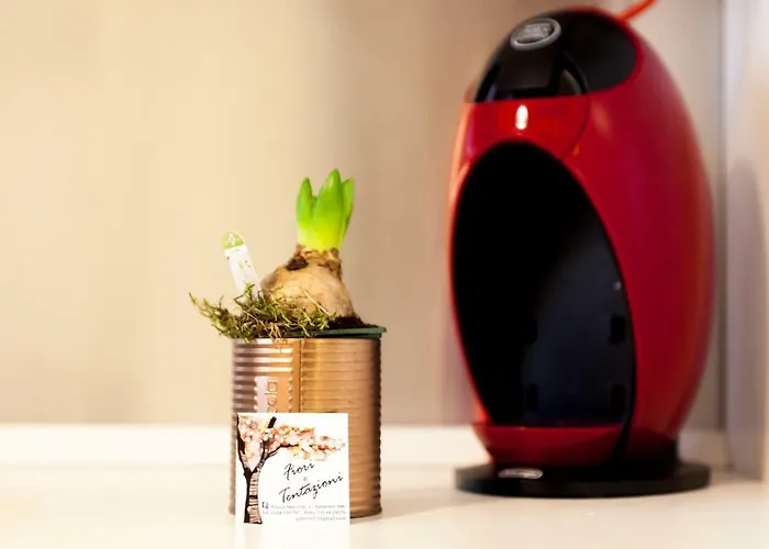 Narciso Centralissimo *